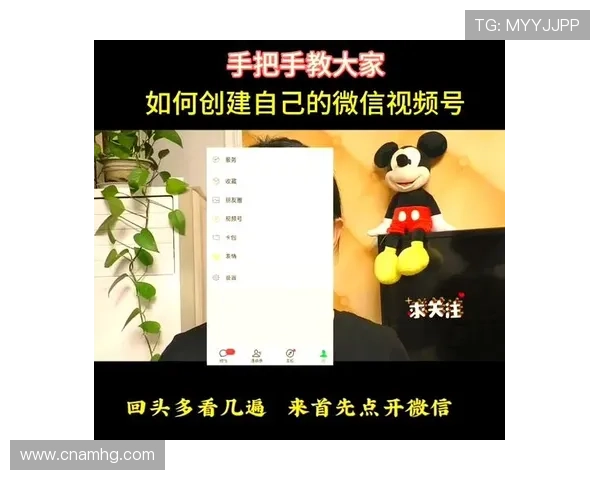 新濠天地官方网站为新手玩家提供详细的注册流程和操作教程，快速入门